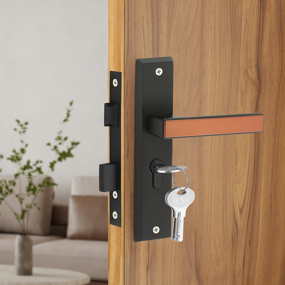 IPSA Teal Iris Handle Series on 8" Plate CYS Lockset with 60mm Both Side Key - Matte Finish BRG